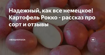 7dach - Как сохранить урожай картофеля до весны без потерь В народе  поговаривают, что с картошкой все просто: если зимой не съедят, то весной  посадят. Заставляет улыбнуться, но согласитесь: совсем не просто