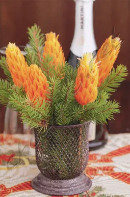 Тёрка Китай для овощей (моркови) по-корейски дерев. - купить онлайн в  магазине Shen