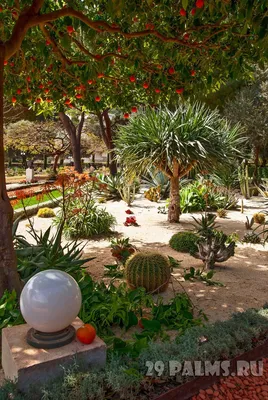 Бахайские сады в Хайфе - современное чудо света | Деревенская  путешественница | Дзен