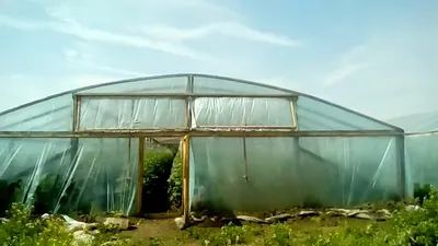 Почему в Казахстане не развиваются эффективные тепличные хозяйства? – ТОО  «Профиль-M»