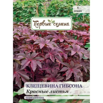 Клещевины ПОИСК Агрохолдинг 290547 - купить по выгодным ценам в  интернет-магазине OZON (218301259)