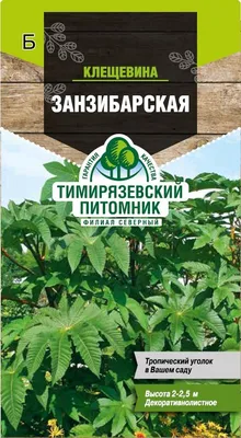 Клещевина Пальмовая роща, семена – купить в питомнике по цене 52 ₽ с  доставкой по всей России.