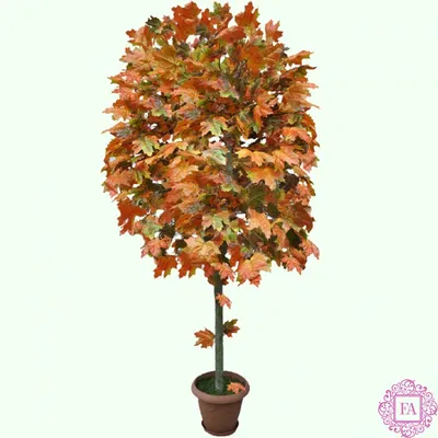 Купить Осенние листья для декора, клен осенний 3 ветки по выгодной цене в  интернет-магазине OZON.ru (1169758512)
