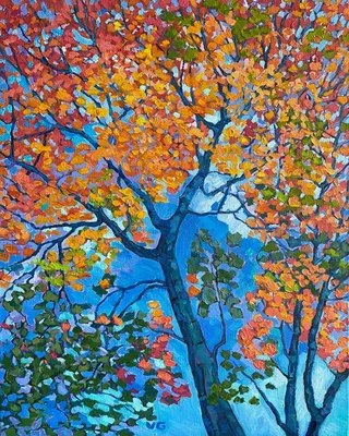 Дерево Сосны И Клена Осенью Стоковые Фотографии | FreeImages