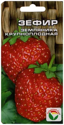 Хотите килограмм клубники с куста? — интернет магазин товаров для сада и  огорода Лето 🌿