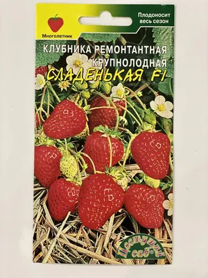 Купить саженцы Клубника сорт Полка с доставкой почтой | Питомник саженцев  Краснодар «КФХ Фруктовый сад»