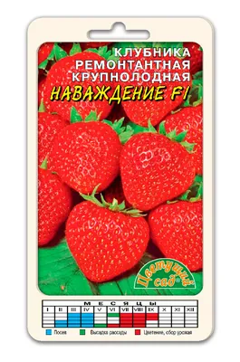 Почему крымская клубника стоит дороже импортной - Российская газета