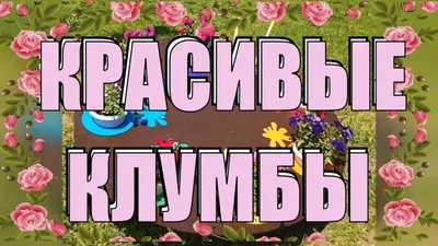 С началом лета на участке детского сада «Елочка» расцвели цветочные клумбы