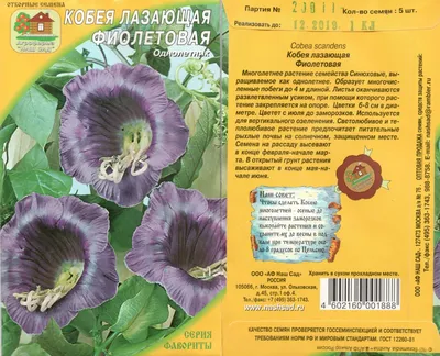 Кобея плетистая Фиолетовая - купить семена цветов с доставкой по Украине в  магазине Добродар