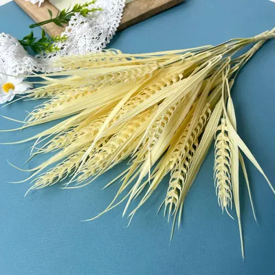 Колосок пшеницы с зернами на белом фоне :: Стоковая фотография ::  Pixel-Shot Studio
