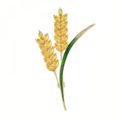 Колоски пшеницы: обои с цветами, картинки, фото 800x600