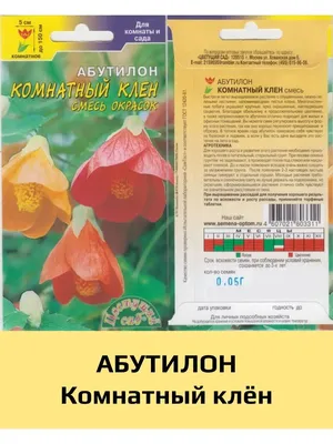 Абутілон. Кімнатний клен. Abutilon. (ID#1849089141), цена: 640 ₴, купить на  Prom.ua