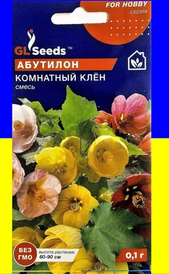 Абутилон микс / Канатник, комнатный клен в Москве по доступным ценам.  Заказать.