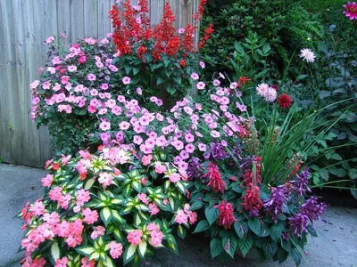 Стильные композиции из живых цветов: как создать неповторимый дизайн вашего  сада | SKYLINE | Дзен