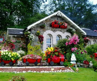 Красивые композиции из цветов в саду. Фото | Агрономия для опытных и  новичков | Дзен