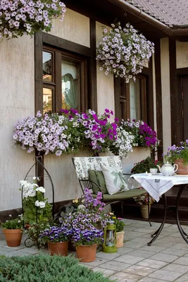 Контейнерный сад — это особенный элемент ландшафта. Даже если в вашем саду  много цветников, контейн… | Outdoor gardens design, Container gardening,  Outdoor gardens