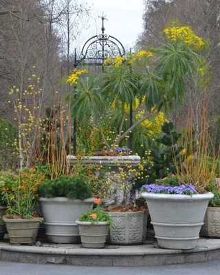 Контейнерный сад на дачном участке | www.sotki.ru | Ваши 6 соток