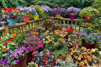 ландшафтный дизайн I фестиваль цветов I Chelsea Flower Show 2021 I лучшие  сады