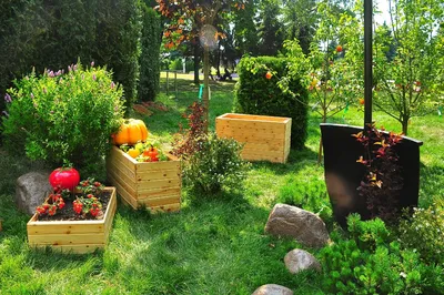 контейнерный сад с сиреневой вербеной Стоковое Изображение - изображение  насчитывающей шикарно, садоводство: 221731443