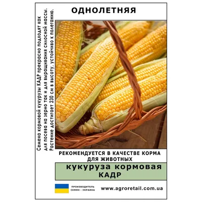 Кукуруза кормовая Кадр весовая 1 кг Велес (ID#1582959511), цена: 48 ₴,  купить на Prom.ua