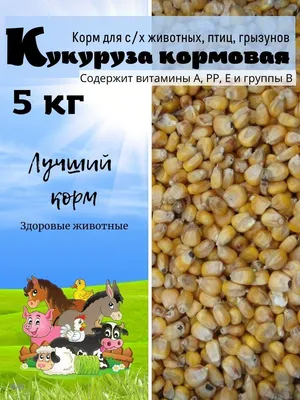 ЭФХАУС Кукуруза кормовая фуражная 10 кг
