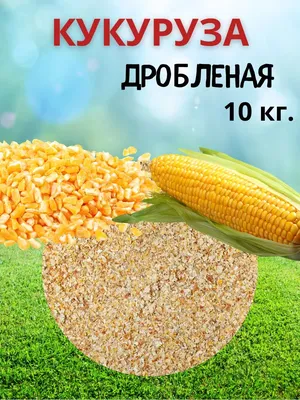 ЭФХАУС Кукуруза кормовая фуражная 10 кг