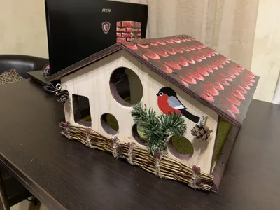 Кормушка для птиц (106 фото): самодельные домики для птиц из картона,  дерева, фанеры, пластиковых бутылок для детей в школу и детский сад