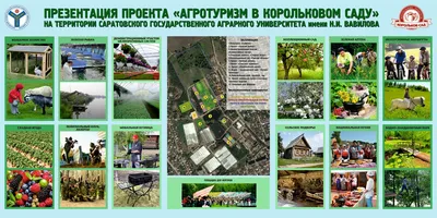 Корольков сад поселился в моей ленте) ______ #саратов #лес #осень  #nikonzrussia #nikonrussia #золотаяосень | Instagram