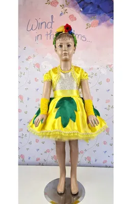 Детский каранавальный костюм Кукуруза для детей 5,6,7 лет Костюм для  мальчиков и девочек (ID#753476797), цена: 490 ₴, купить на Prom.ua