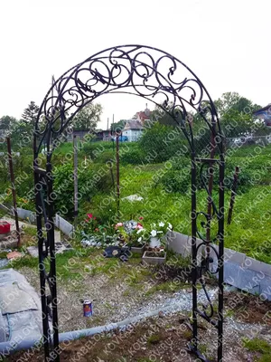 Кованые арки для сада в Нижнем Новгороде купить — Кузница «Три Кузнеца»