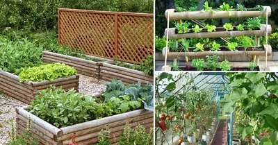 Красивые грядки из досок. 10 | Building a raised garden, Raised garden  beds, Raised garden