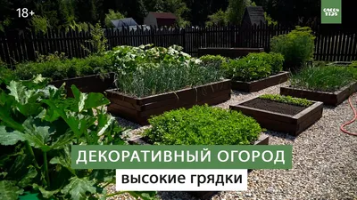 Как обустроить на участке декоративный огород: советы дизайнера | myDecor