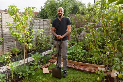 Как сделать красивые грядки на даче – новости компании FINGARDEN