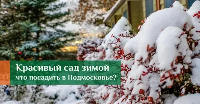 Частные сады Подмосковья