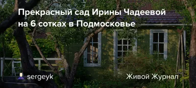 Дом в Подмосковье с панорамным остеклением | Архитектурные проекты | Журнал  «Красивые дома»