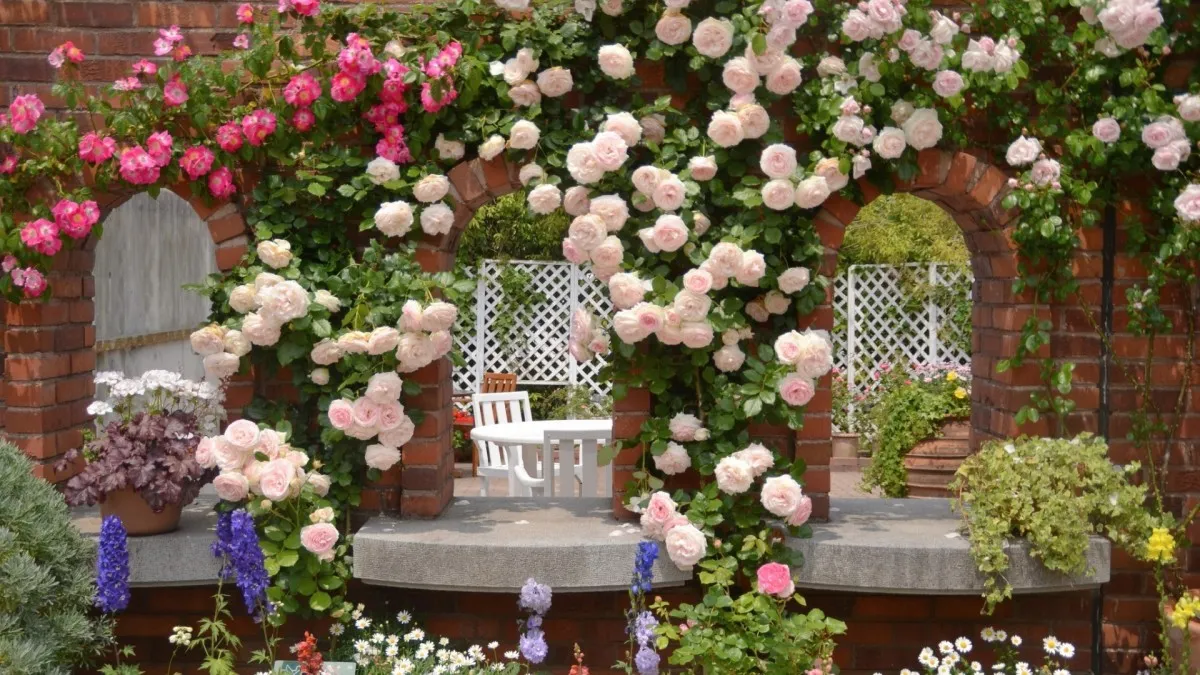 Цветы украшение сада - 50 фото