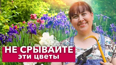 Красивые Цветы В Саду — стоковые фотографии и другие картинки Без людей -  Без людей, Ботаника, В цвету - iStock