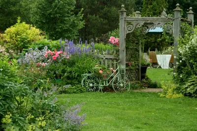 Красивые уголки сада (58 фото) - 58 фото