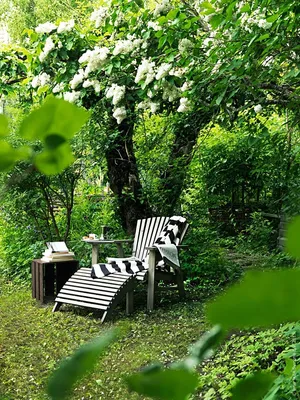 Уютный уголок в саду (73 фото) - 73 фото