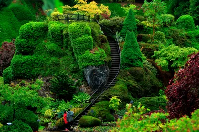 Красивый сад в котором растет …» — создано в Шедевруме