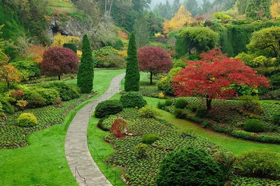 Татьяна Боченкова: \"Красивый сад — это долговечный и удобный в обслуживании  сад\" - Волга Ньюс