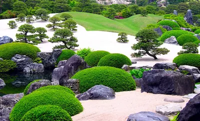 Красивый сад с соснами стоковое фото. изображение насчитывающей  вечнозеленый - 168646730
