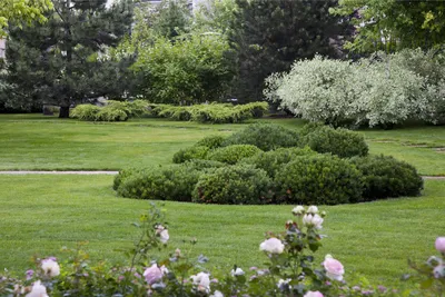 Красивый сад своими руками: ландшафтный дизайн, цветы и декор | Женщина  после 50 | Дзен