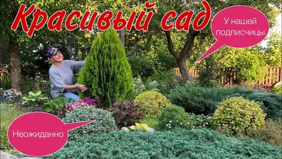 10 простых способов создать бюджетный и красивый сад | Стиль (Огород.ru)