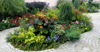Красивый сад с нуля: советы эксперта | myDecor