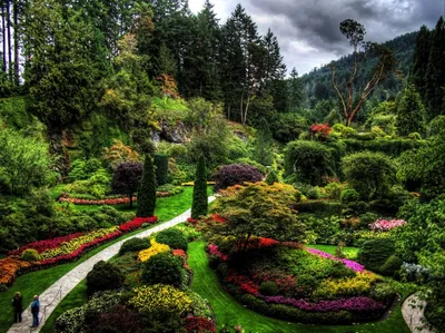 красивый сад на заднем дворе с красиво подстриженными деревьями кустов и  камней. Стоковое Фото - изображение насчитывающей резиденция, европейско:  224260860