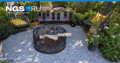 Как создать красивый сад своими руками и какие неприхотливые растения  посадить в Новосибирске - 28 июля 2021 - НГС