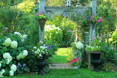 Отзывы о книге «Красивый сад – легко и просто! Ландшафтный дизайн своими  руками. Секреты, о которых молчат профессионалы», рецензии на книгу Ольги  Минченко, рейтинг в библиотеке Литрес