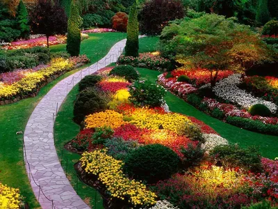 Особенности и правила составления ландшафтных композиций в саду
