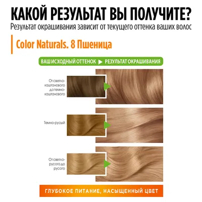 Краска для волос Garnier \"Color Naturals\", оттенок 8, Пшеница, 2 шт, цвет:  бежевый, GA002LWDTFX2 — купить в интернет-магазине Lamoda